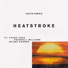 Heatstroke artwork